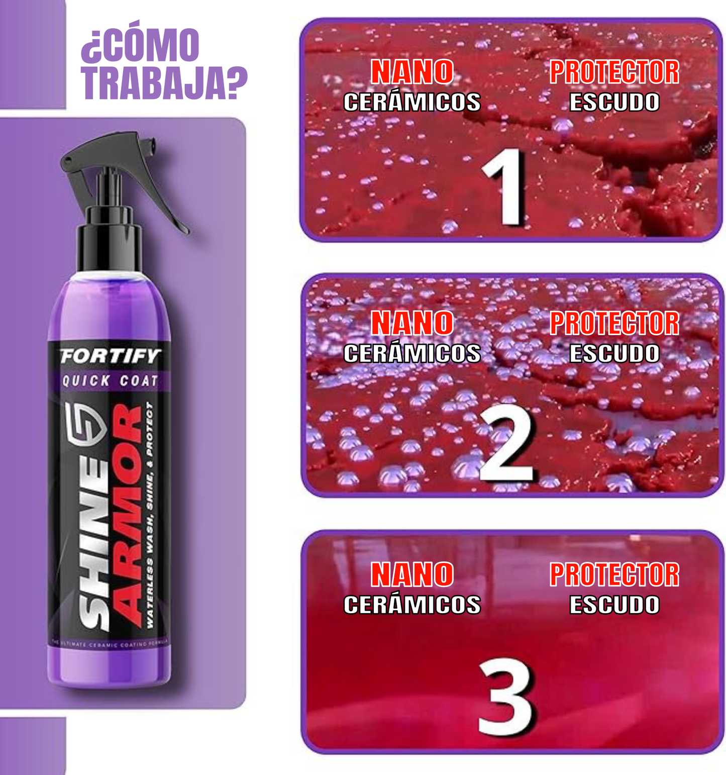 SHINE ARMOR - RENOVADOR AUTO - Fortify Quick Coat