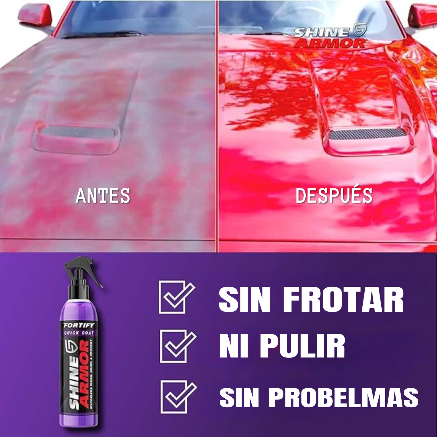 SHINE ARMOR - RENOVADOR AUTO - Fortify Quick Coat