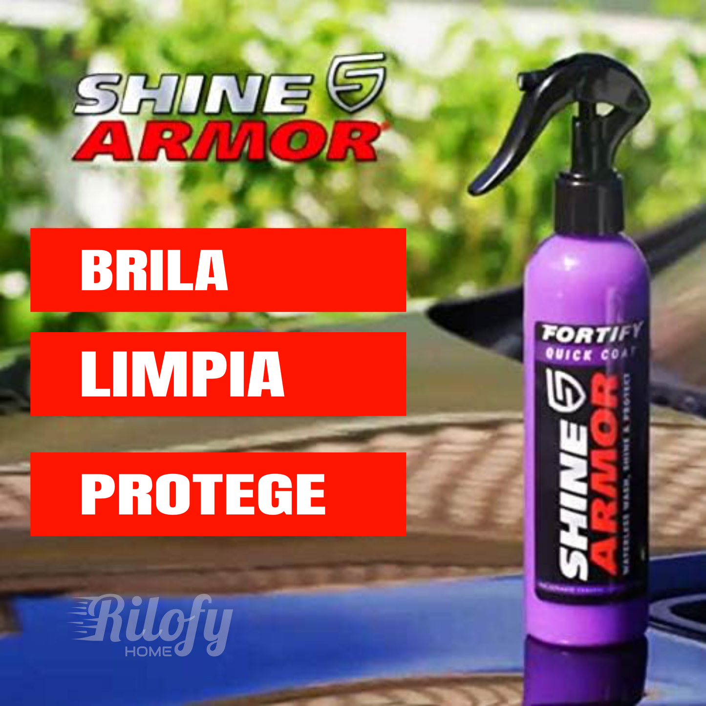 SHINE ARMOR - RENOVADOR AUTO - Fortify Quick Coat